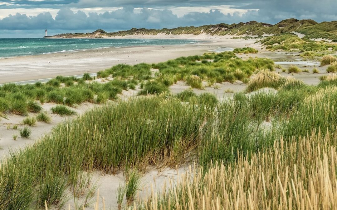 Anholt – Kattegatts pärla