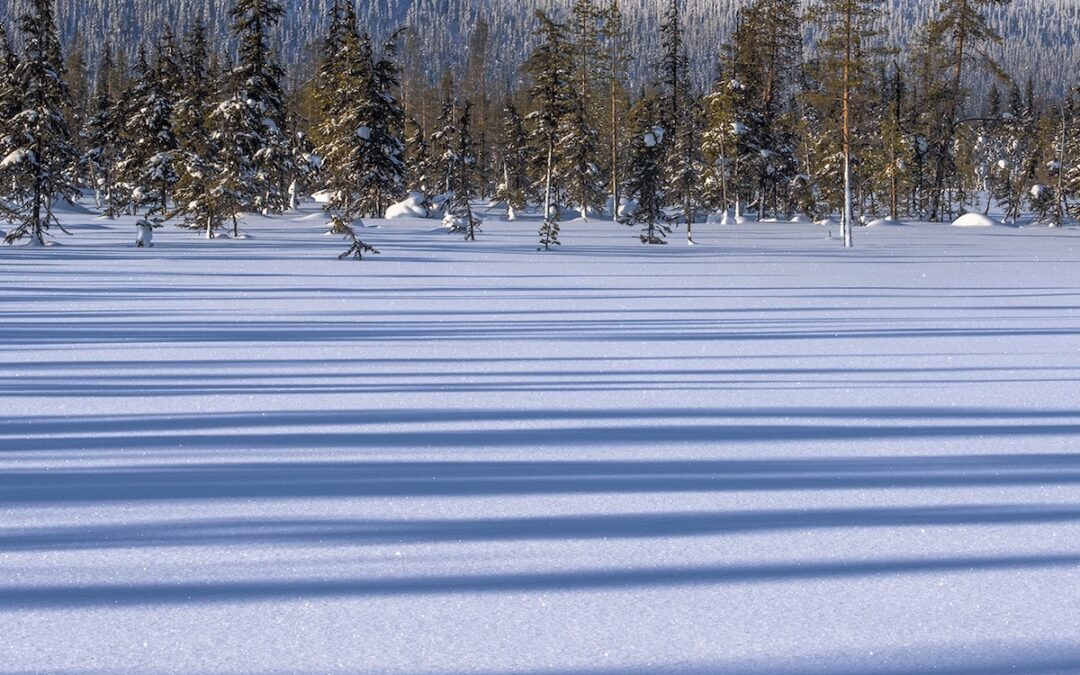 Masterclass – Umeå