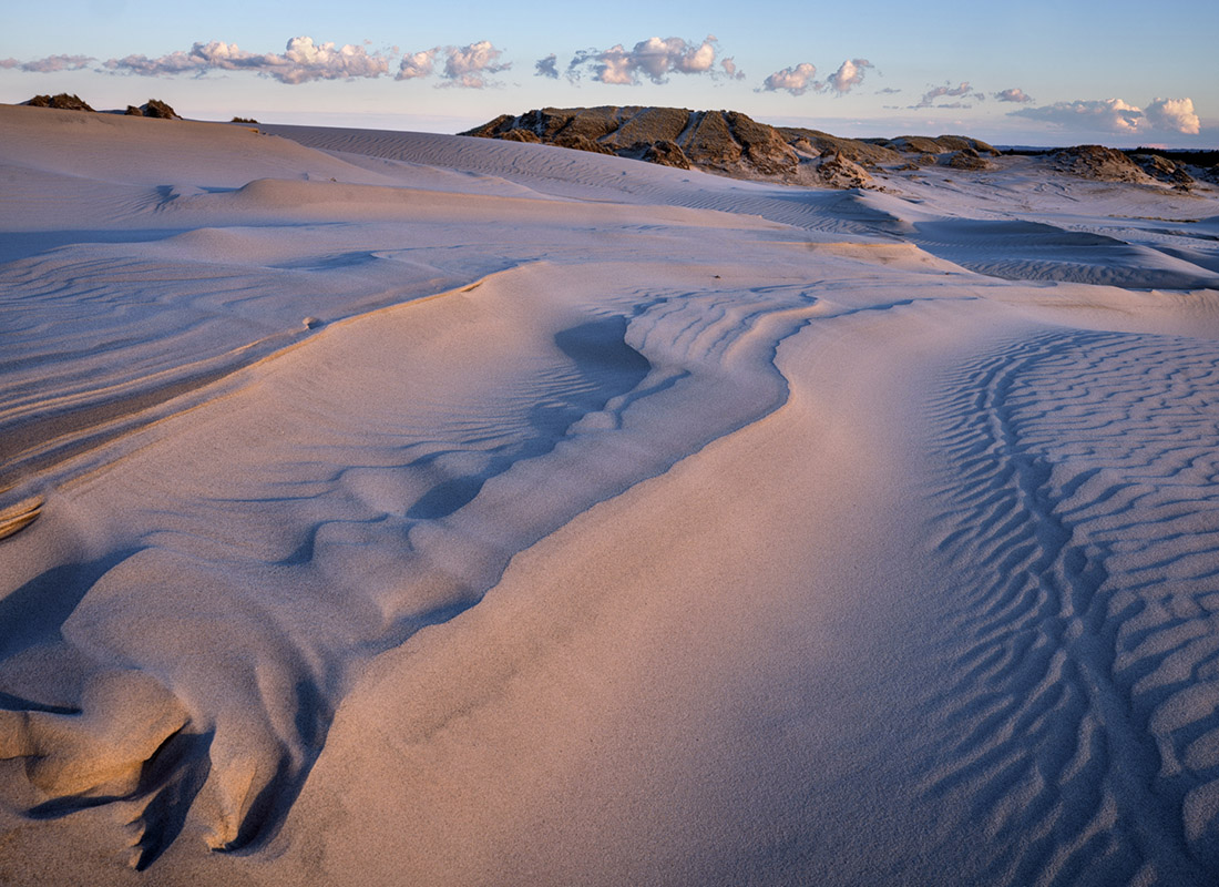 Skagen Sanddyner