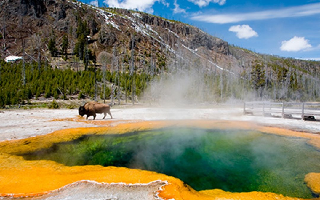 Höst i Yellowstone