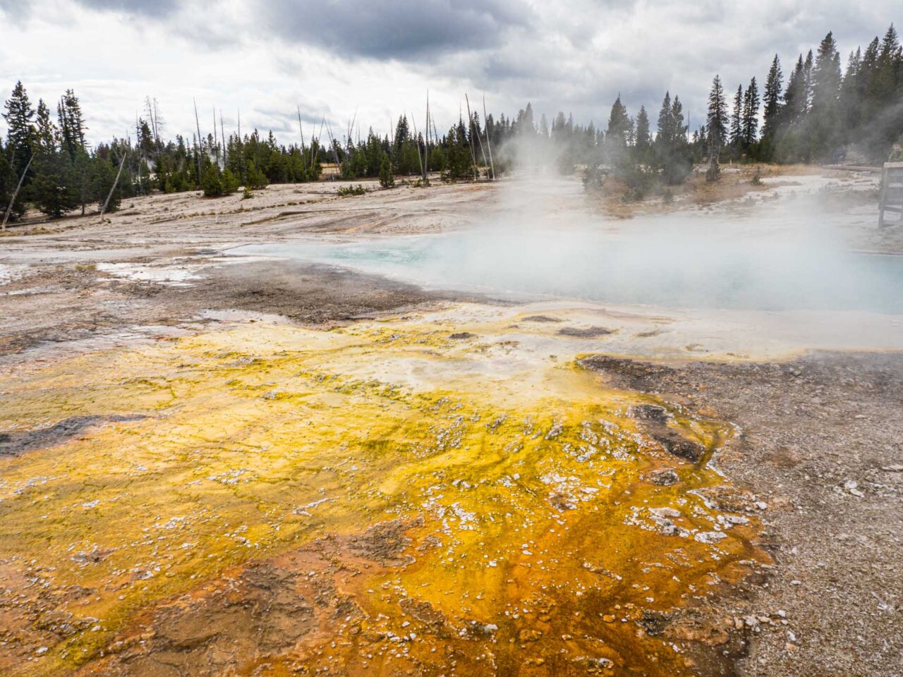 Yellowstone 2025 teaser Zoom Fotoresor