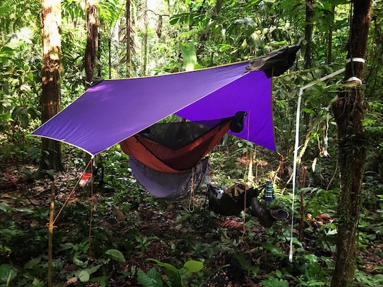 Jungle camp