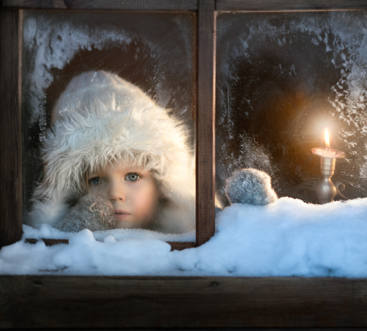 Winter wonderland